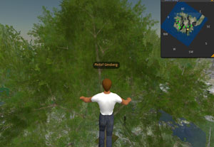 Screenshot of Pintof Ginsberg flying in Second Life